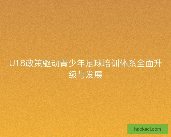 U18政策驱动青少年足球培训体系全面升级与发展